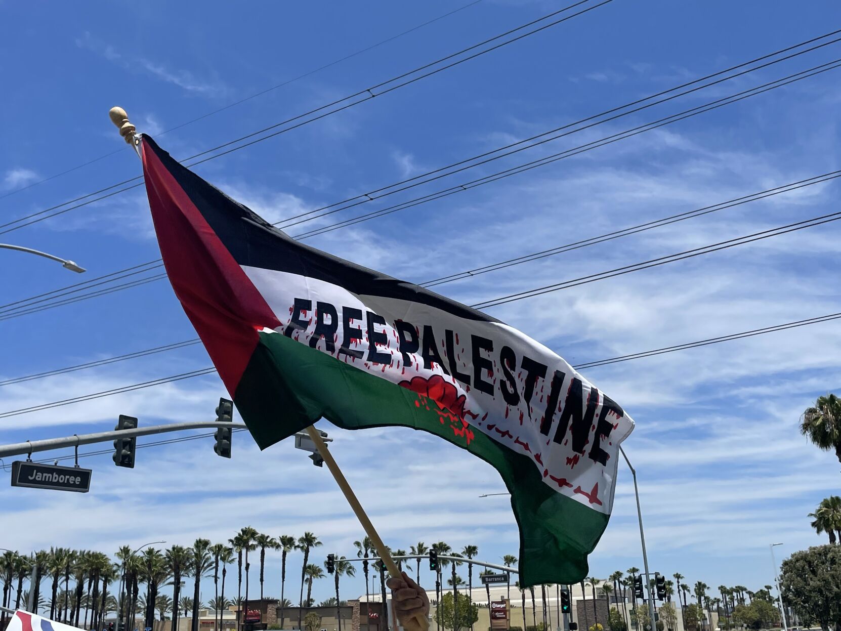 Palestine Flag
